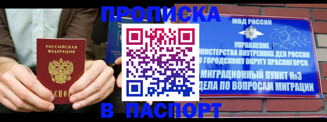 где прописаться в Щёлково